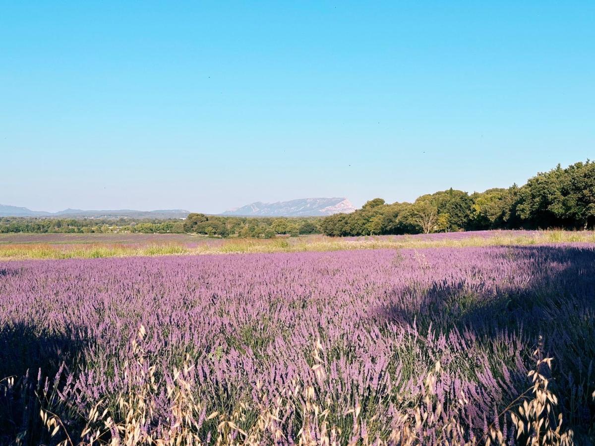 Maison Francoise Bed & Breakfast