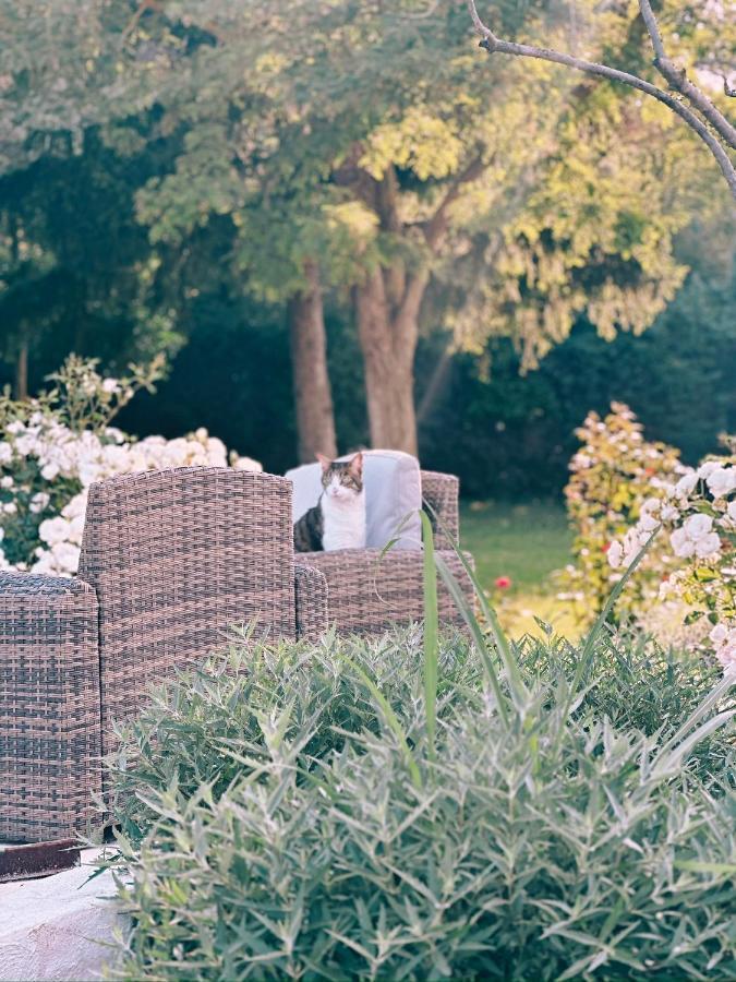 Bed & Breakfast Maison Francoise *